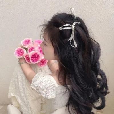 蒙特利尔海报