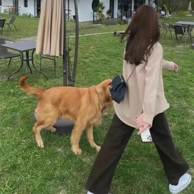 与王生活的男人海报